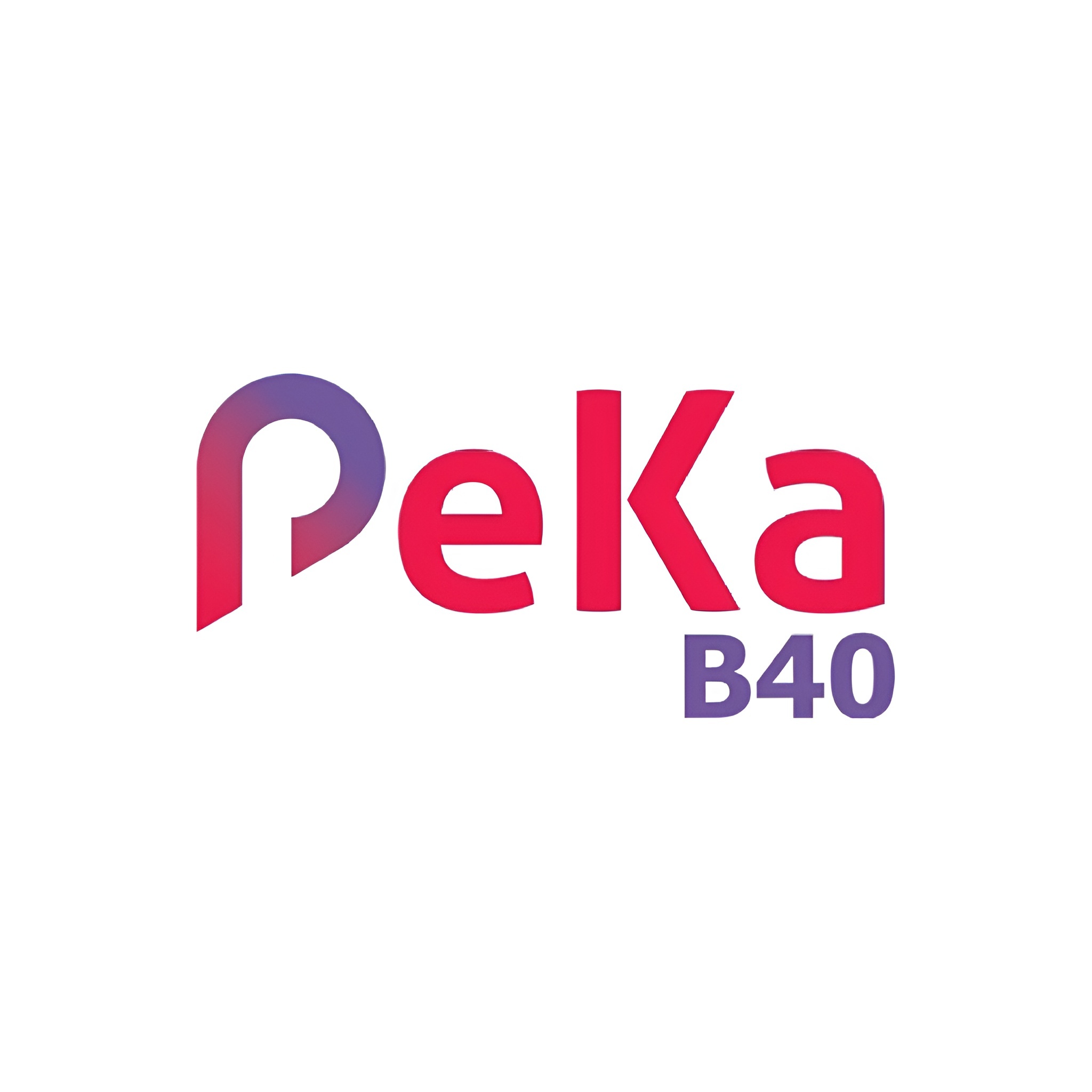 Peka B40